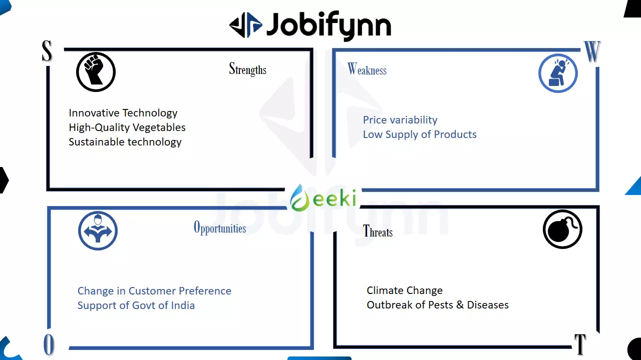 eeki swot-analysis