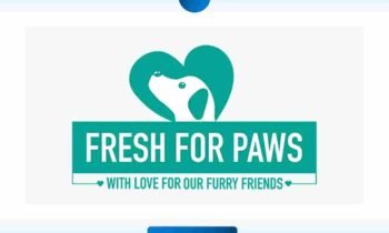 Fresh For Paws (How this new startup is making healthy food for pets in 2023)