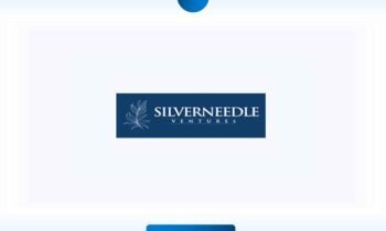 Silver Needle Ventures (Empowering startups to find and deliver value in 2024 )