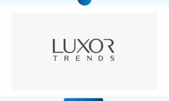 Luxortrends (A startup Bringing multi-designer and multi-vendor ethnic wear at  one place in 2024)